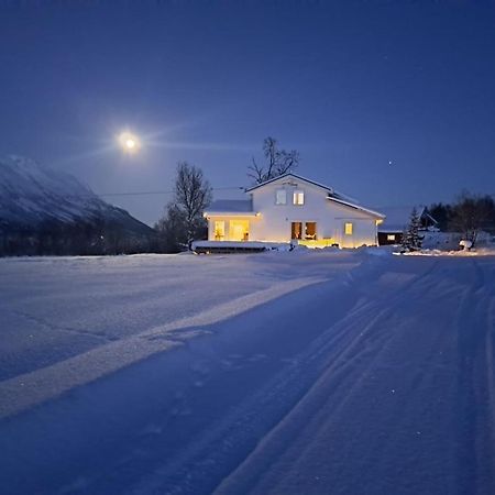 Mountainside Lodge - Breivikeidet Tromsø Dış mekan fotoğraf