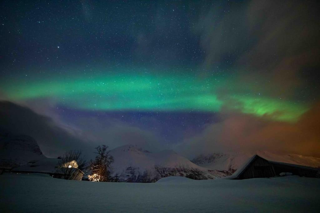 Mountainside Lodge - Breivikeidet Tromsø Dış mekan fotoğraf