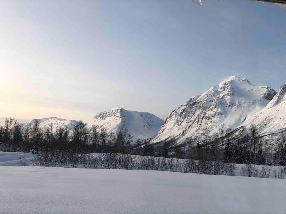 Mountainside Lodge - Breivikeidet Tromsø Dış mekan fotoğraf