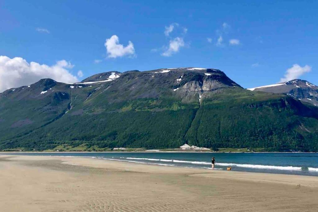 Mountainside Lodge - Breivikeidet Tromsø Dış mekan fotoğraf