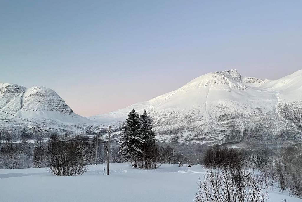 Mountainside Lodge - Breivikeidet Tromsø Dış mekan fotoğraf