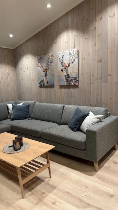 Mountainside Lodge - Breivikeidet Tromsø Dış mekan fotoğraf