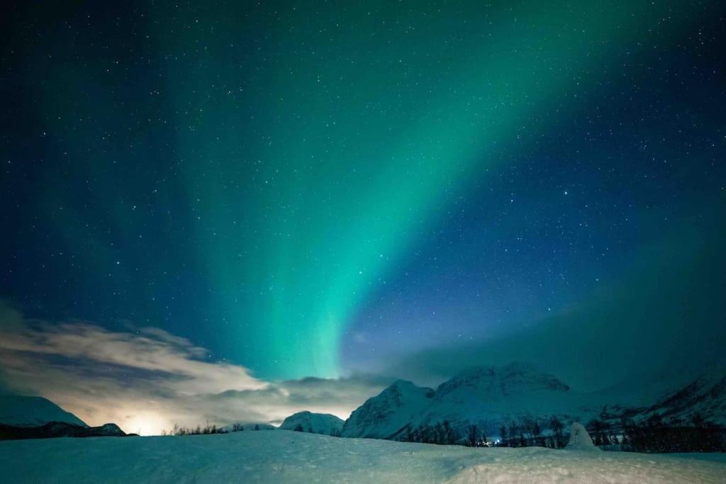 Mountainside Lodge - Breivikeidet Tromsø Dış mekan fotoğraf