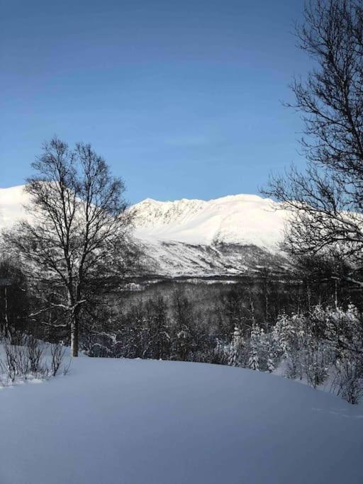 Mountainside Lodge - Breivikeidet Tromsø Dış mekan fotoğraf