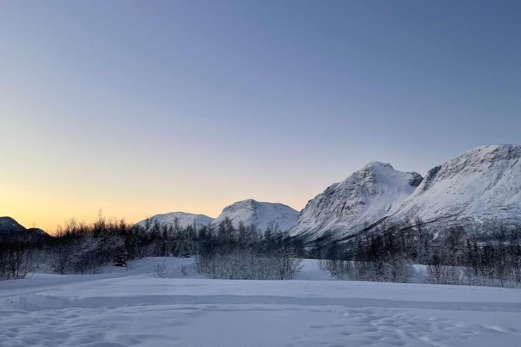 Mountainside Lodge - Breivikeidet Tromsø Dış mekan fotoğraf