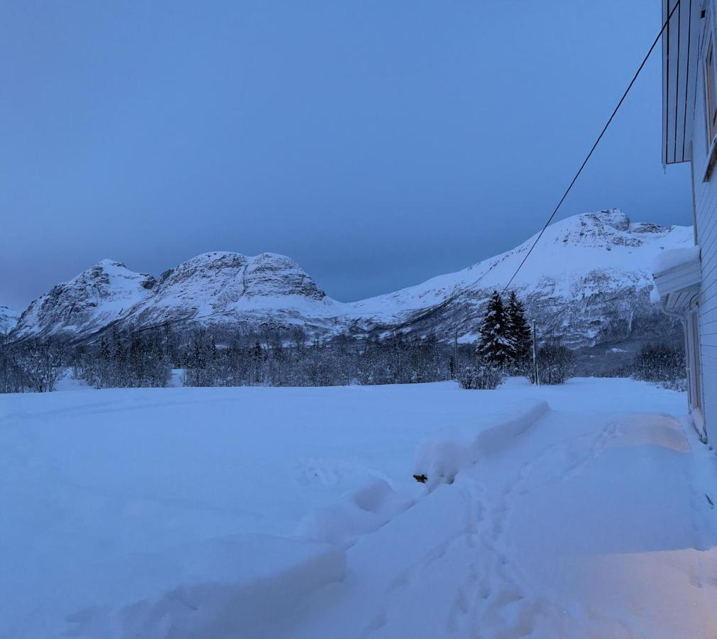 Mountainside Lodge - Breivikeidet Tromsø Dış mekan fotoğraf