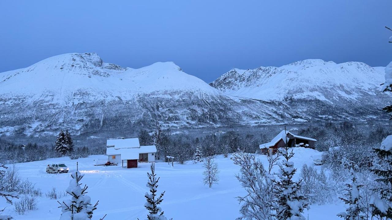 Mountainside Lodge - Breivikeidet Tromsø Dış mekan fotoğraf