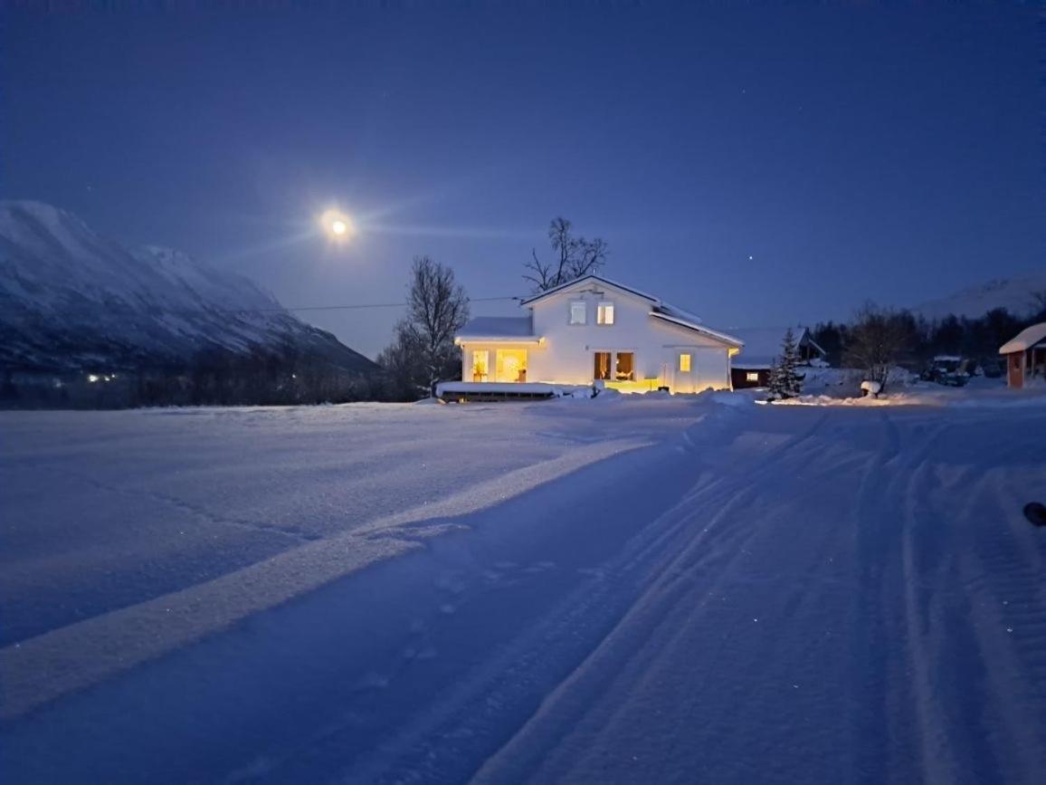 Mountainside Lodge - Breivikeidet Tromsø Dış mekan fotoğraf